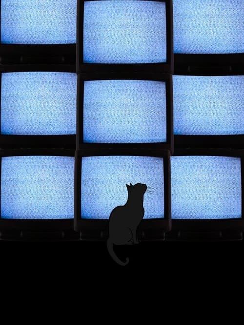 The Coolest Guy In Schoolのポスター