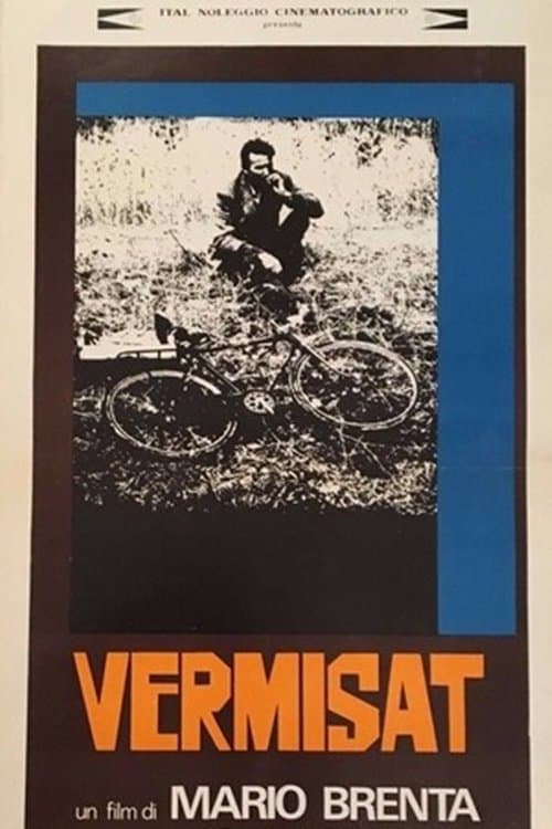 Vermisatのポスター