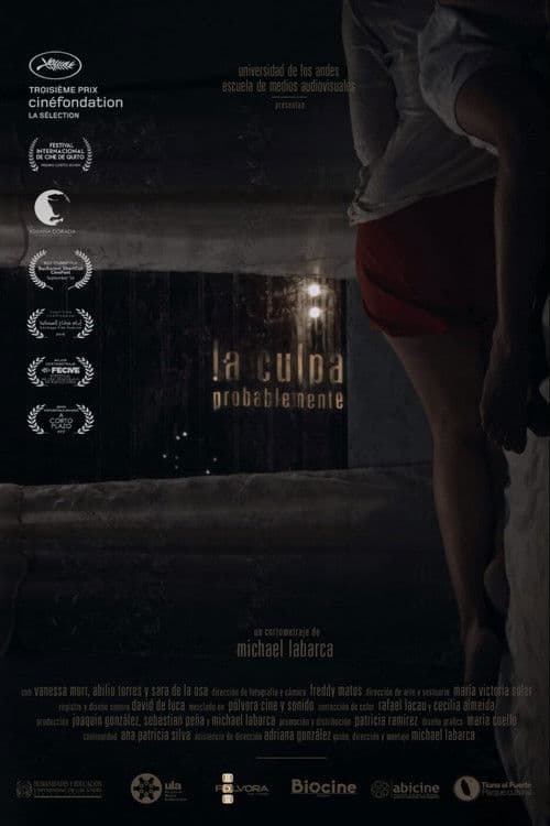 La Culpa, Probablementeのポスター