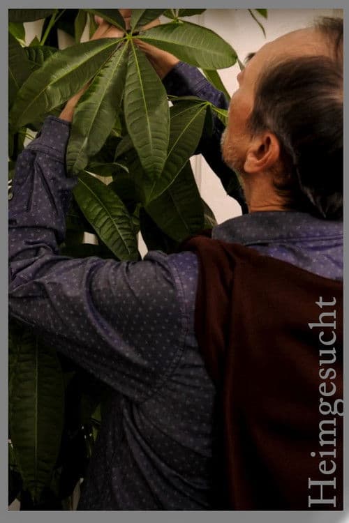 Heimgesuchtのポスター