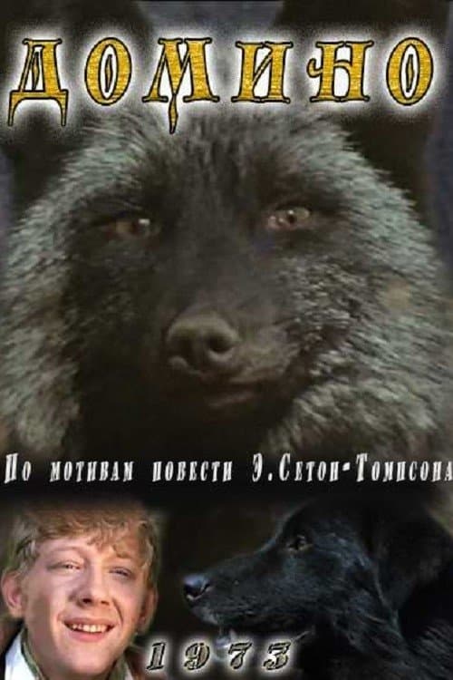 Доминоのポスター