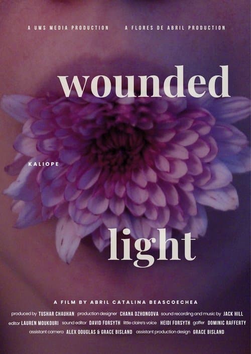 Wounded Lightのポスター