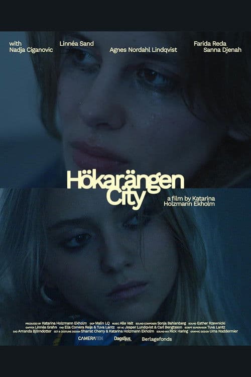 Hökarängen Cityのポスター