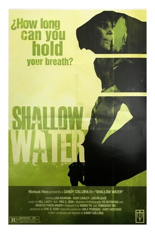 Shallow Waterのポスター