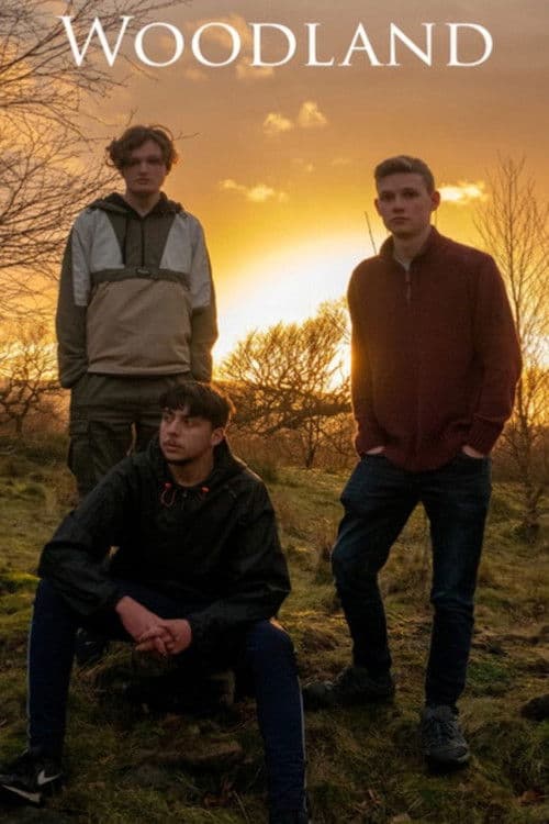 Woodlandのポスター
