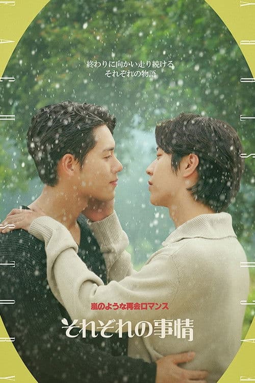 それぞれの事情のポスター