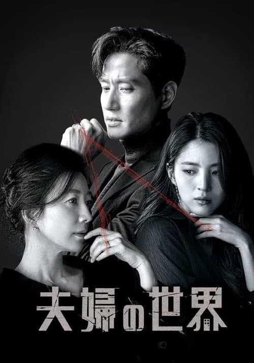 夫婦の世界のポスター