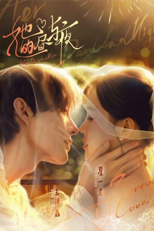 她的昼与夜のポスター