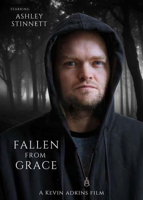 Fallen From Graceのポスター
