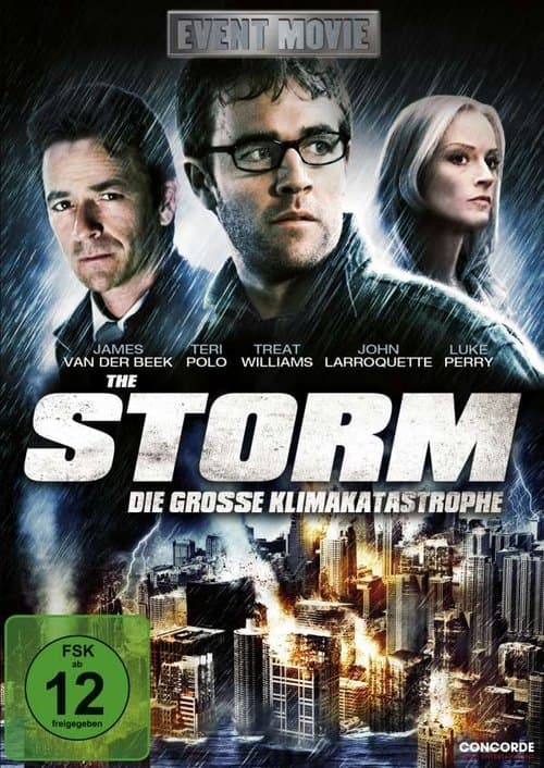 The Stormのポスター