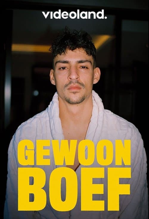 Gewoon Boefのポスター