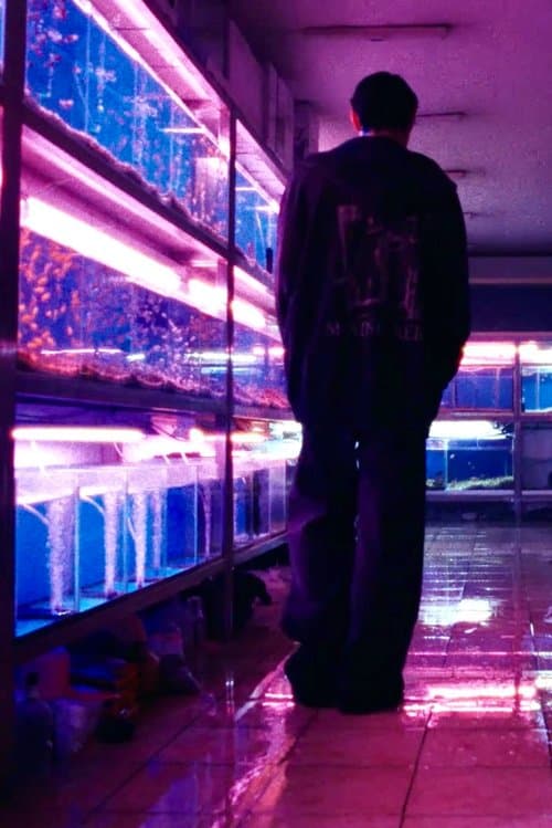 불가사의 in Seoul (DOYOUNG ver.)のポスター