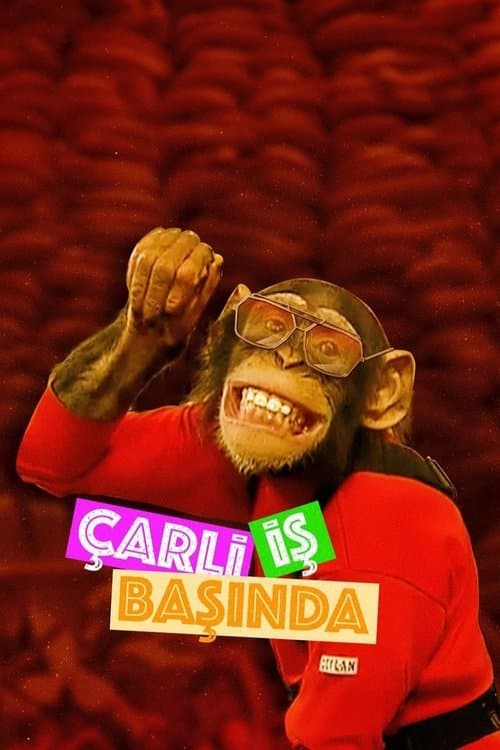 Çarli İş Başındaのポスター