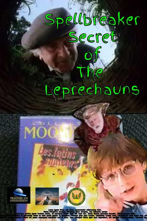 Spellbreaker: Secret of the Leprechaunsのポスター