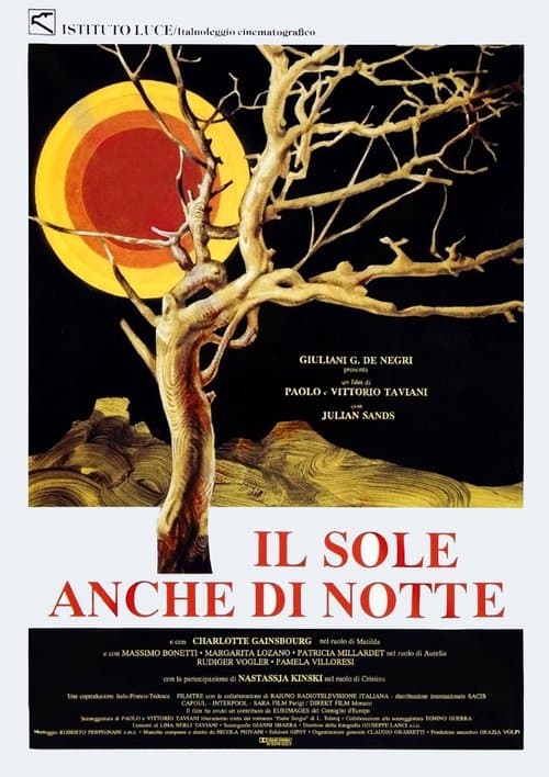 Il sole anche di notteのポスター