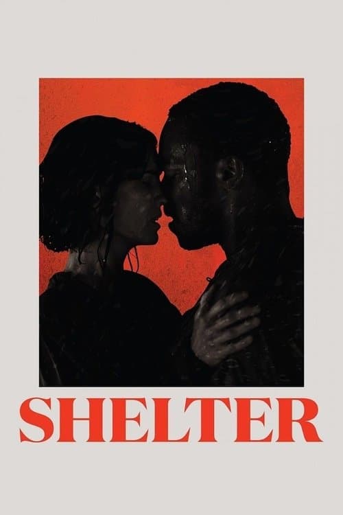 Shelterのポスター
