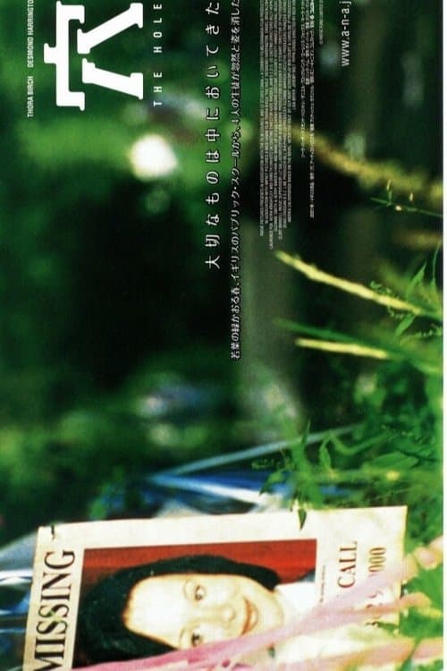 穴のポスター
