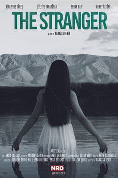 Yabancıのポスター