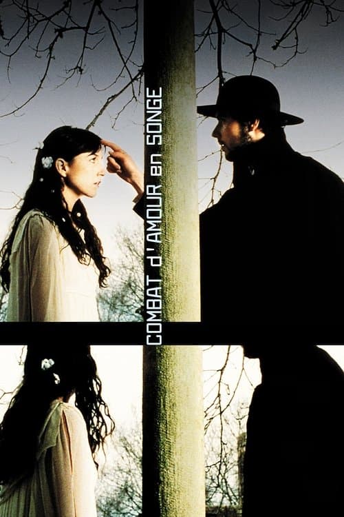 Combat d'amour en songeのポスター