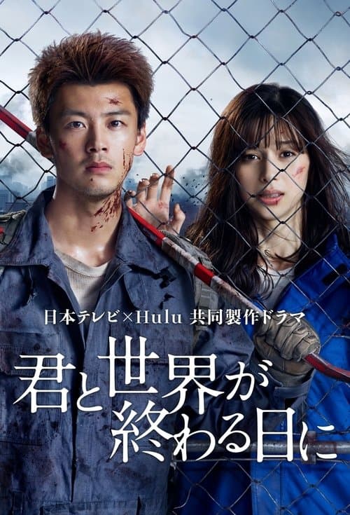 君と世界が終わる日にのポスター
