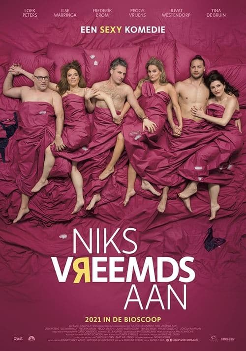 Niks vreemds aanのポスター