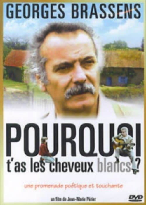 Pourquoi t'as les cheveux blancs...のポスター