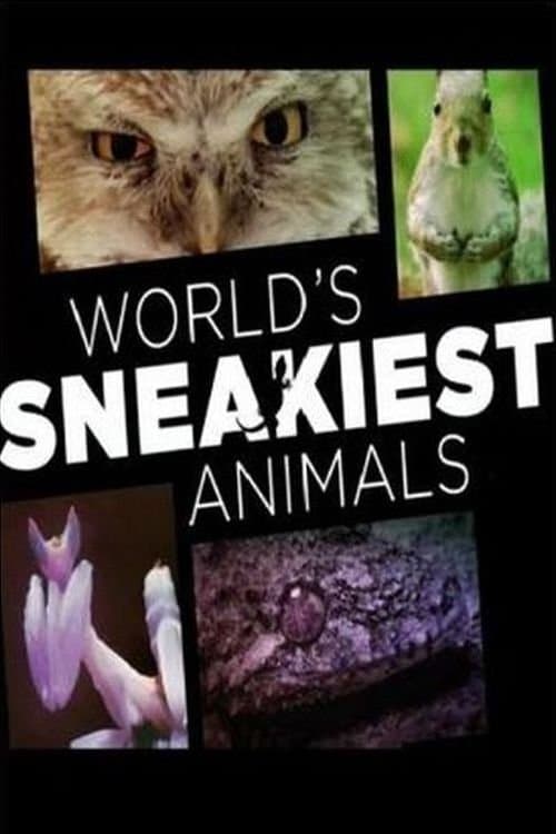World's Sneakiest Animalsのポスター