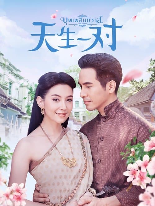 天生一对优酷版のポスター