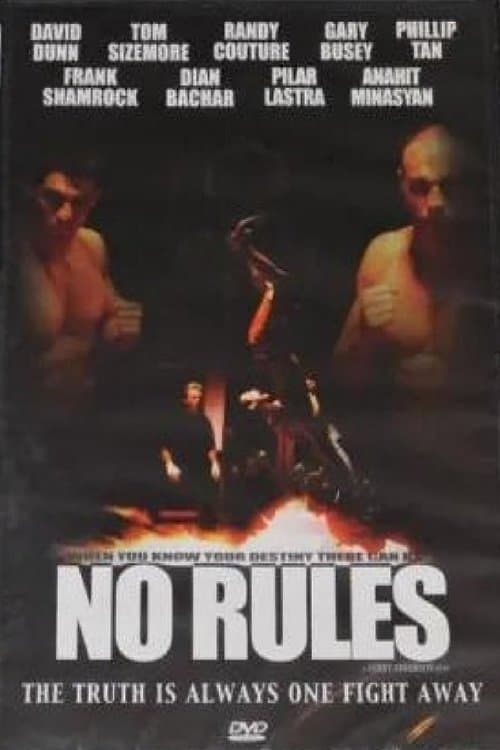 No Rulesのポスター