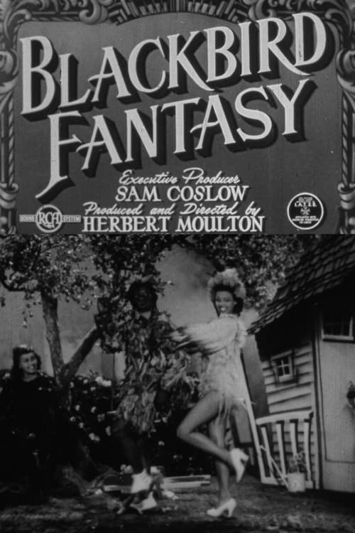 Blackbird Fantasyのポスター