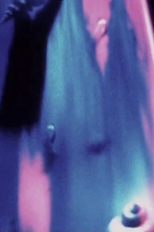 Mandala Opus #7 - Poema Dell'Estasiのポスター