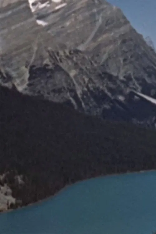 Wildlife in the Rockiesのポスター