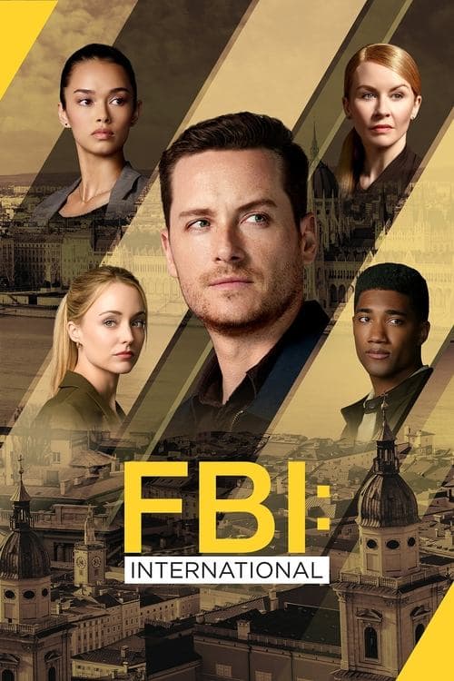 FBI: インターナショナルのポスター