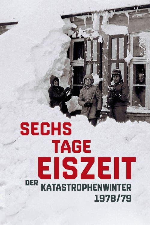 Sechs Tage Eiszeit - Der Katastrophenwinter 1978-79のポスター