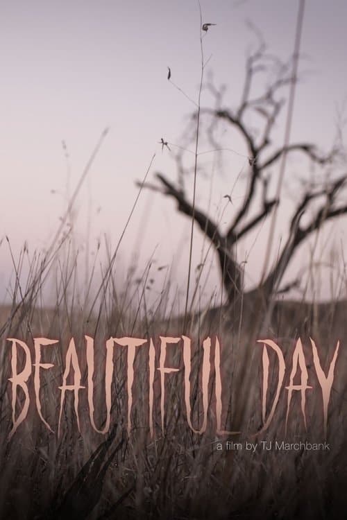 Beautiful Dayのポスター