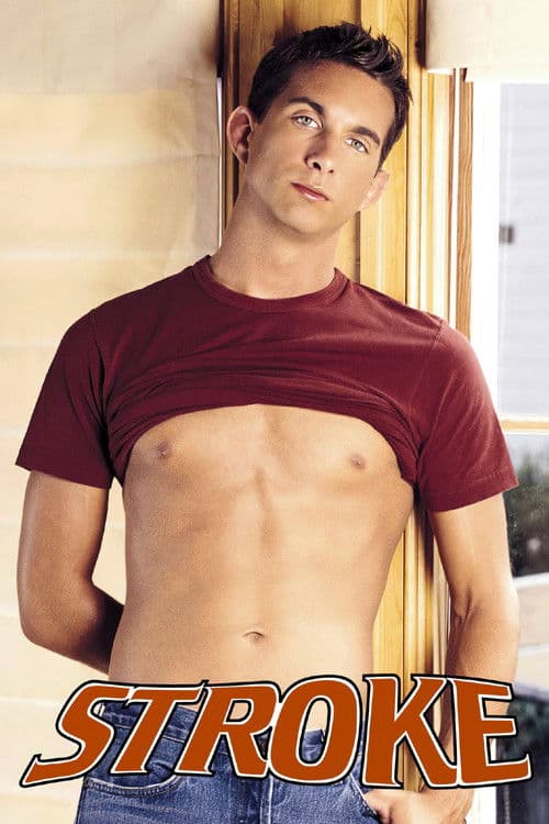 Strokeのポスター
