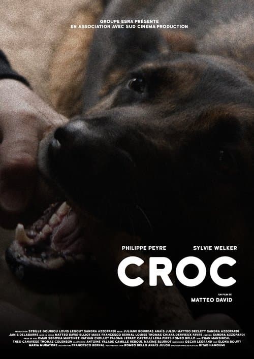 CROCのポスター