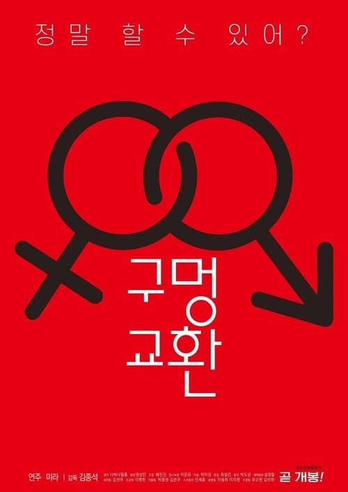 구멍 교환のポスター