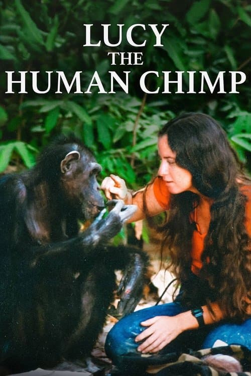 Lucy the Human Chimpのポスター