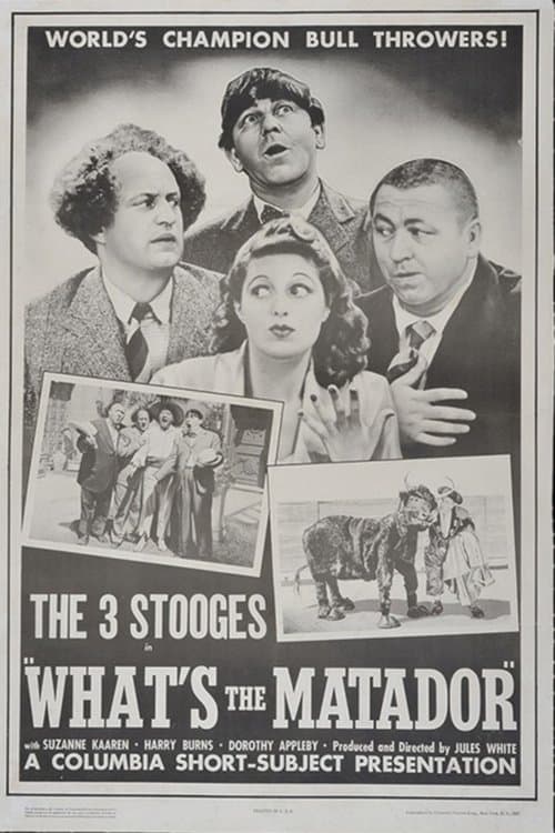 What's the Matador?のポスター