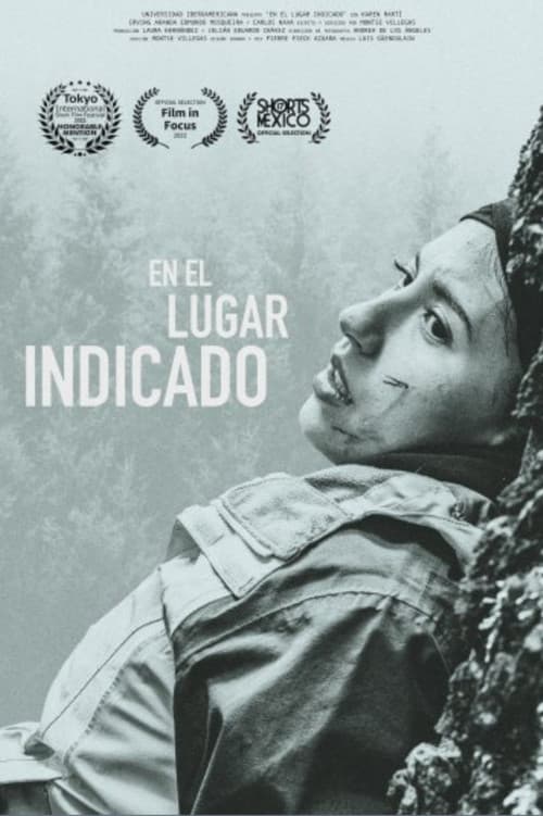 En el lugar indicadoのポスター