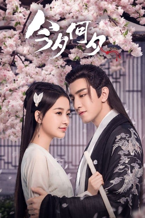 今夕何夕のポスター