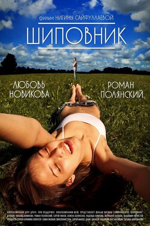 Шиповникのポスター