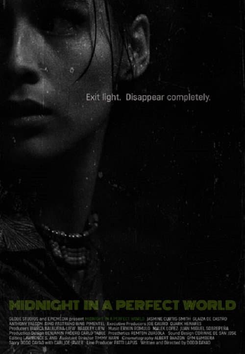 Midnight in a Perfect Worldのポスター