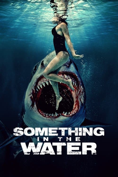 Something in the Waterのポスター