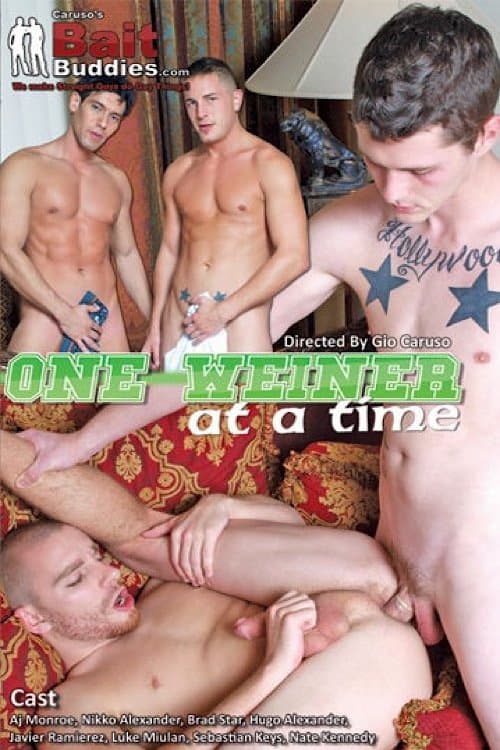 One Weiner at a Timeのポスター