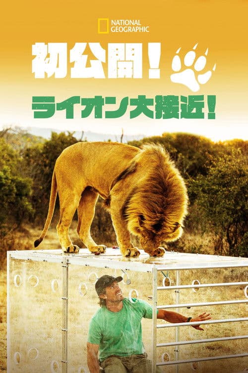 Man V. Lionのポスター