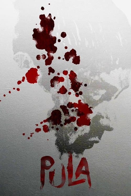 Pulaのポスター