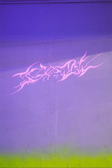 Sonzai Zoneのポスター