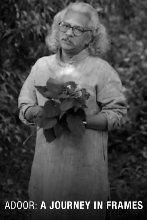 Adoor: A Journey in Framesのポスター